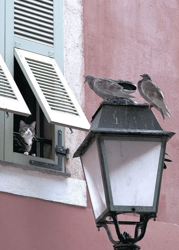 开云体育入口-49分与0.1秒，当生涯之夜沦为绝杀背景