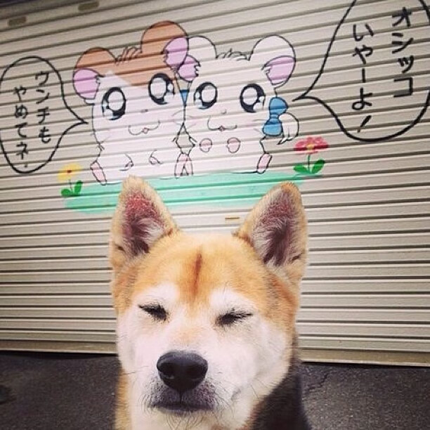 开云体育2026-用母亲的名字灼穿长夜