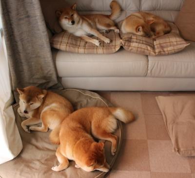 绿茵终极博弈，从伯纳乌的权杖到橄榄山的绝杀—论足球世界中的唯一性时刻