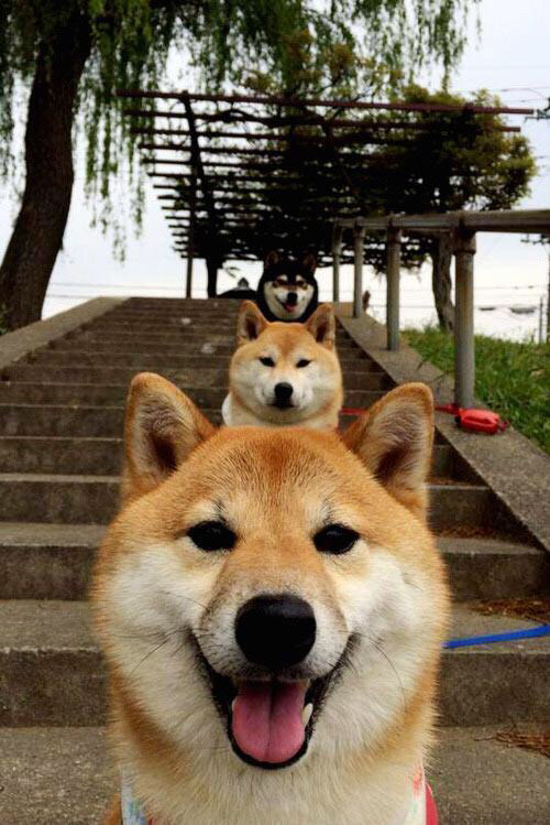 开云sport-惊天逆转！公牛中国行强压新疆，保罗攻防两端统治全场