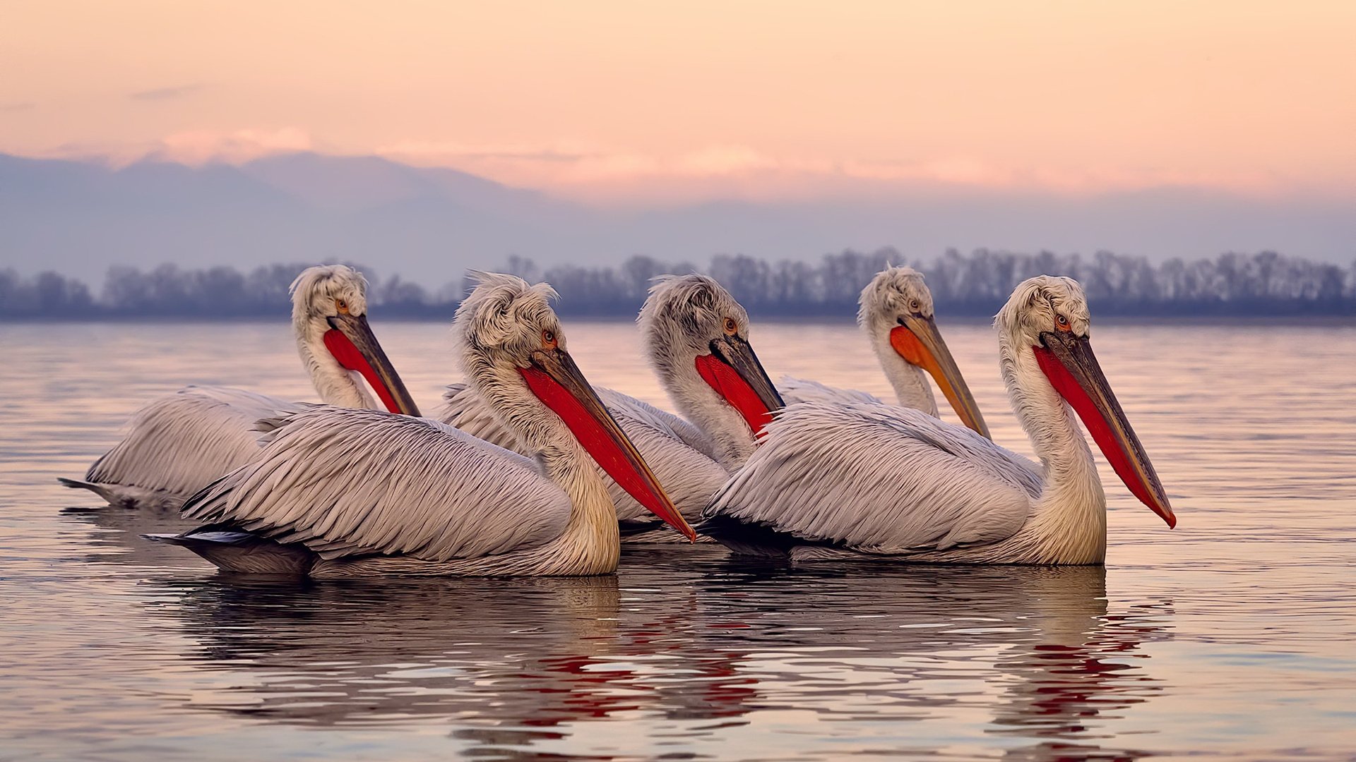 开云体育官网-钥匙在他手中，霍勒迪的手术刀式控场，雄鹿闪电战击穿山西