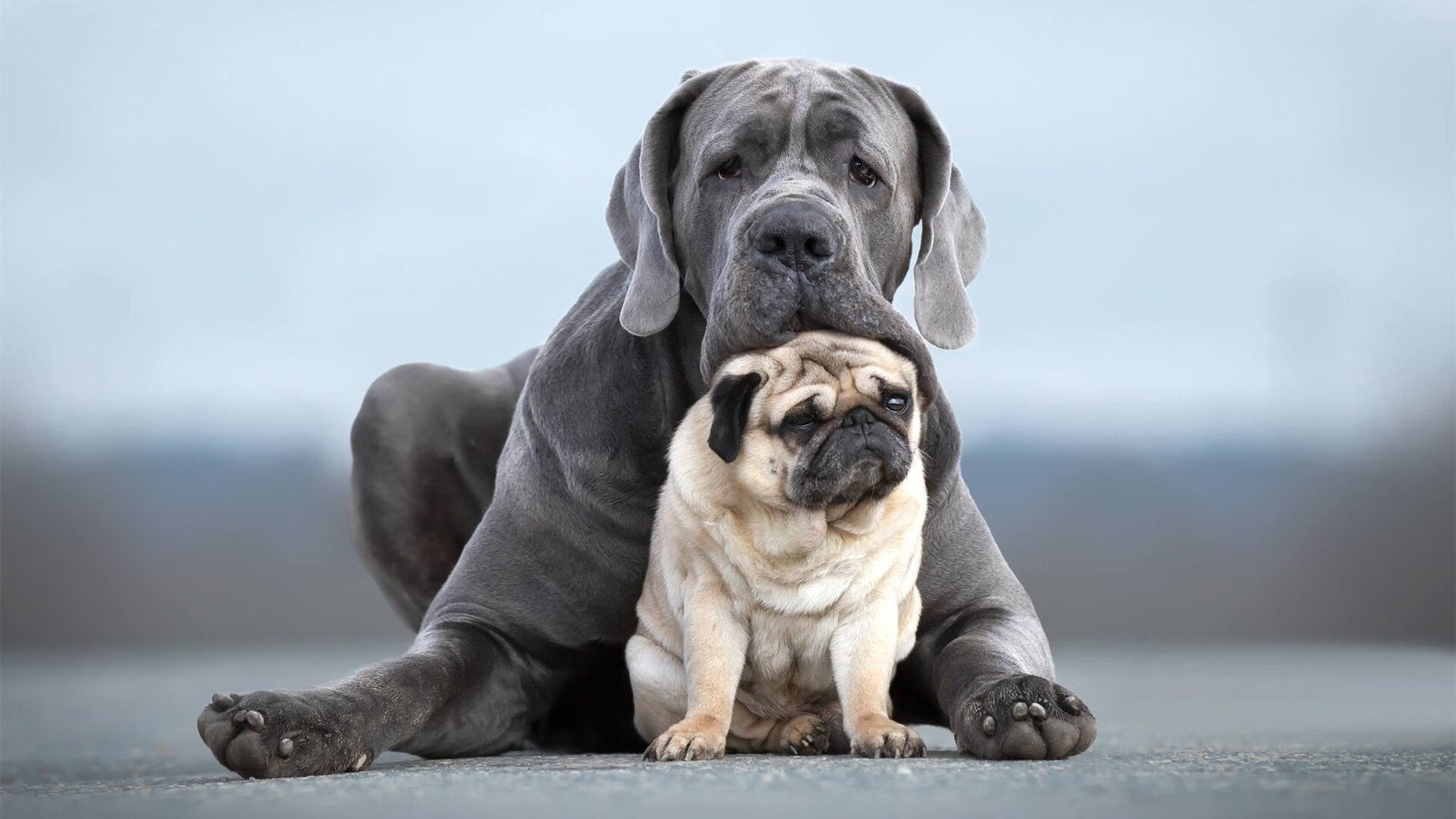 开云体育-当广厦的精密仪器遇上活塞的自由涂鸦—杰伦·格林在篮球两种语言中的存在感实验