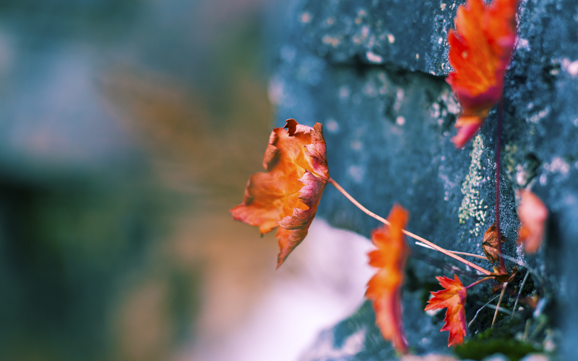 NBA季后赛之夜，当无限收束在切特身上成为现实