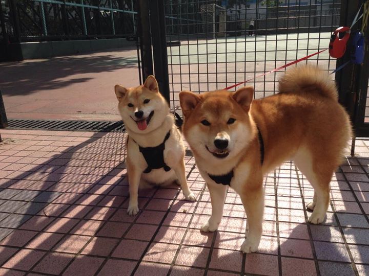 独臂擎天,阿圭罗在几内亚最冷雨夜扛起一整片大陆的梦