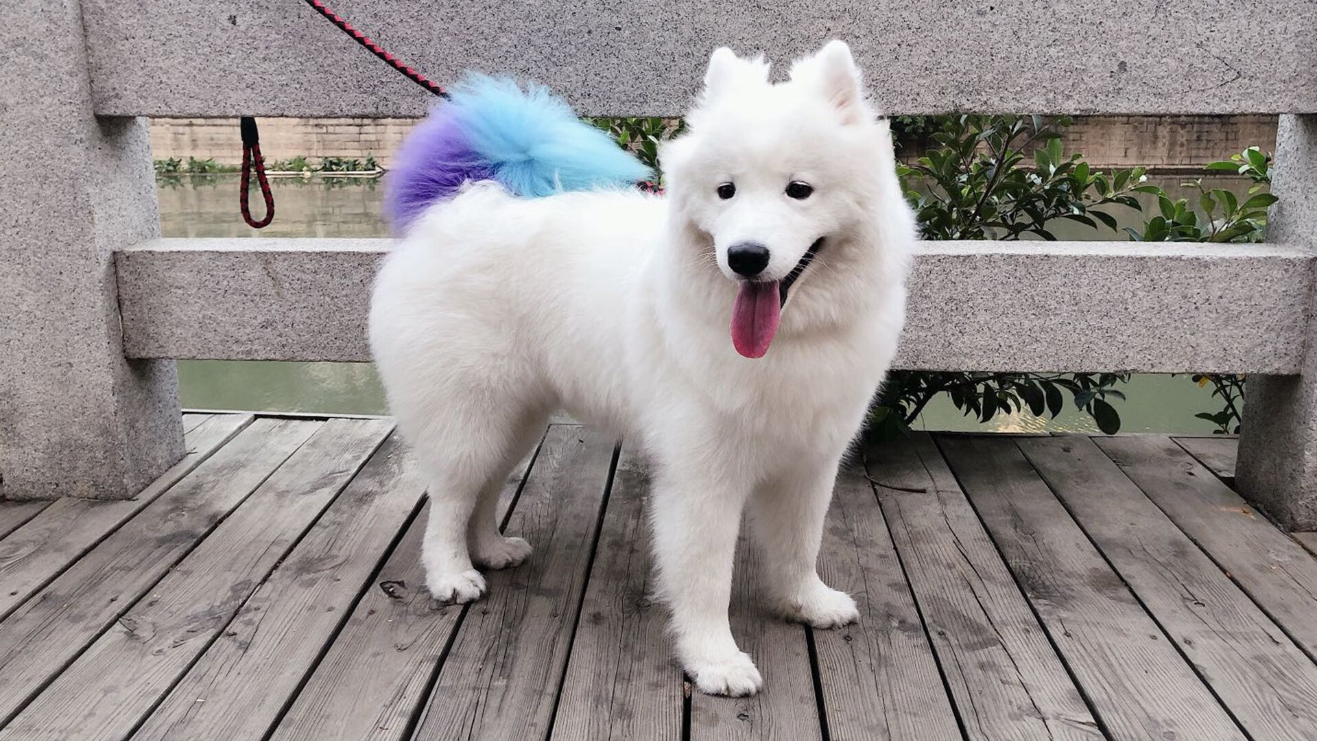 开云体育APP下载-冰火对决，奥斯梅恩一剑封喉，乌克兰铁军鏖战利物浦