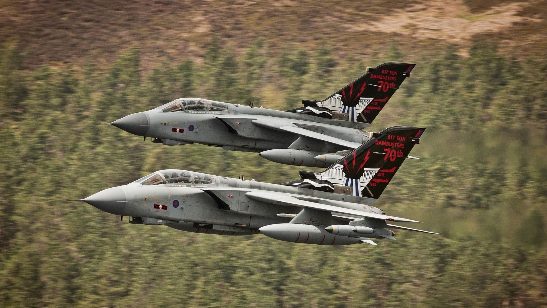 蓝月谜题，比利时铁幕下的迪亚斯独舞