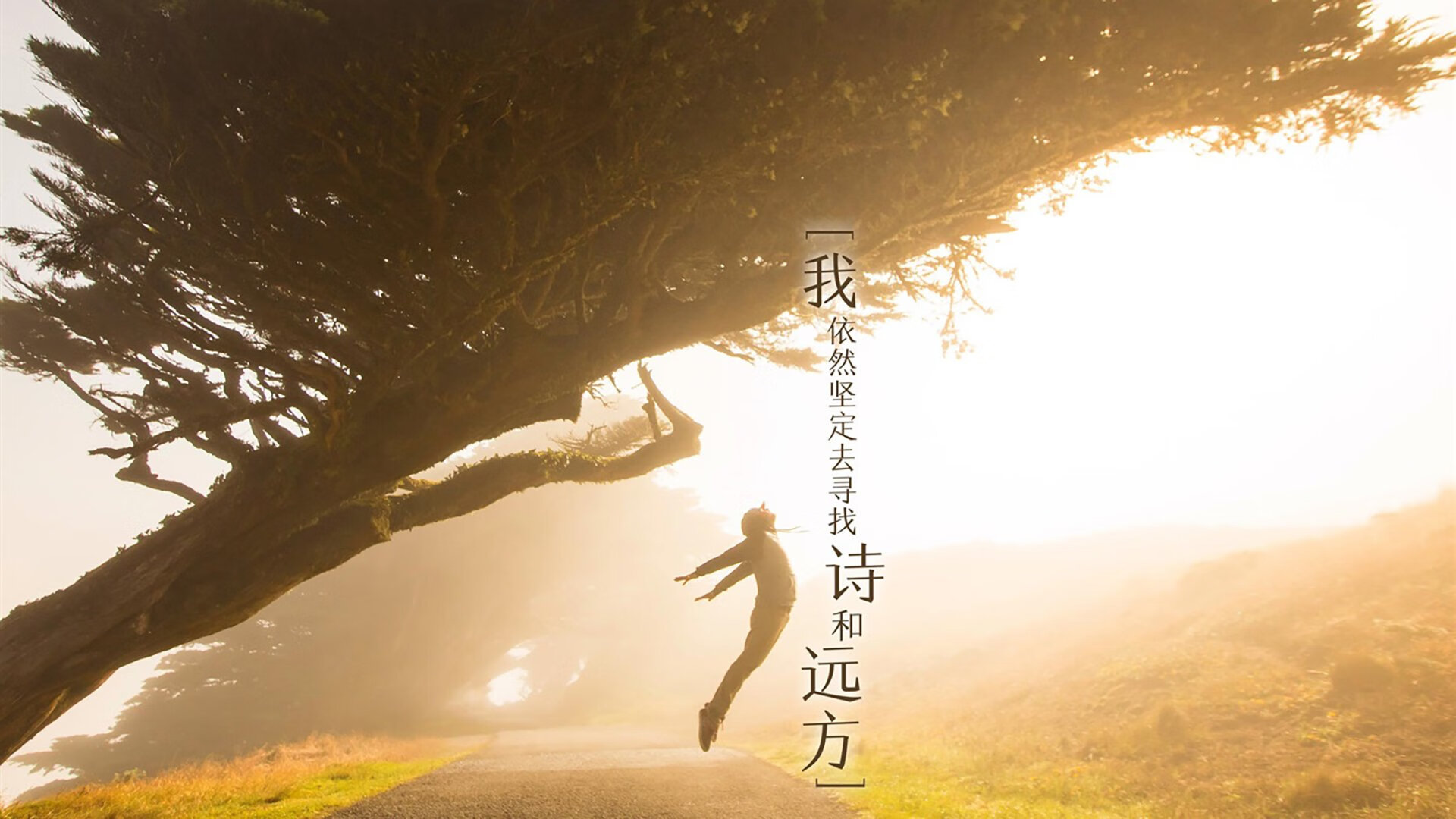 唯一的神谕，当库尔图瓦在D组拯救葡萄牙，足球的逻辑开始崩塌