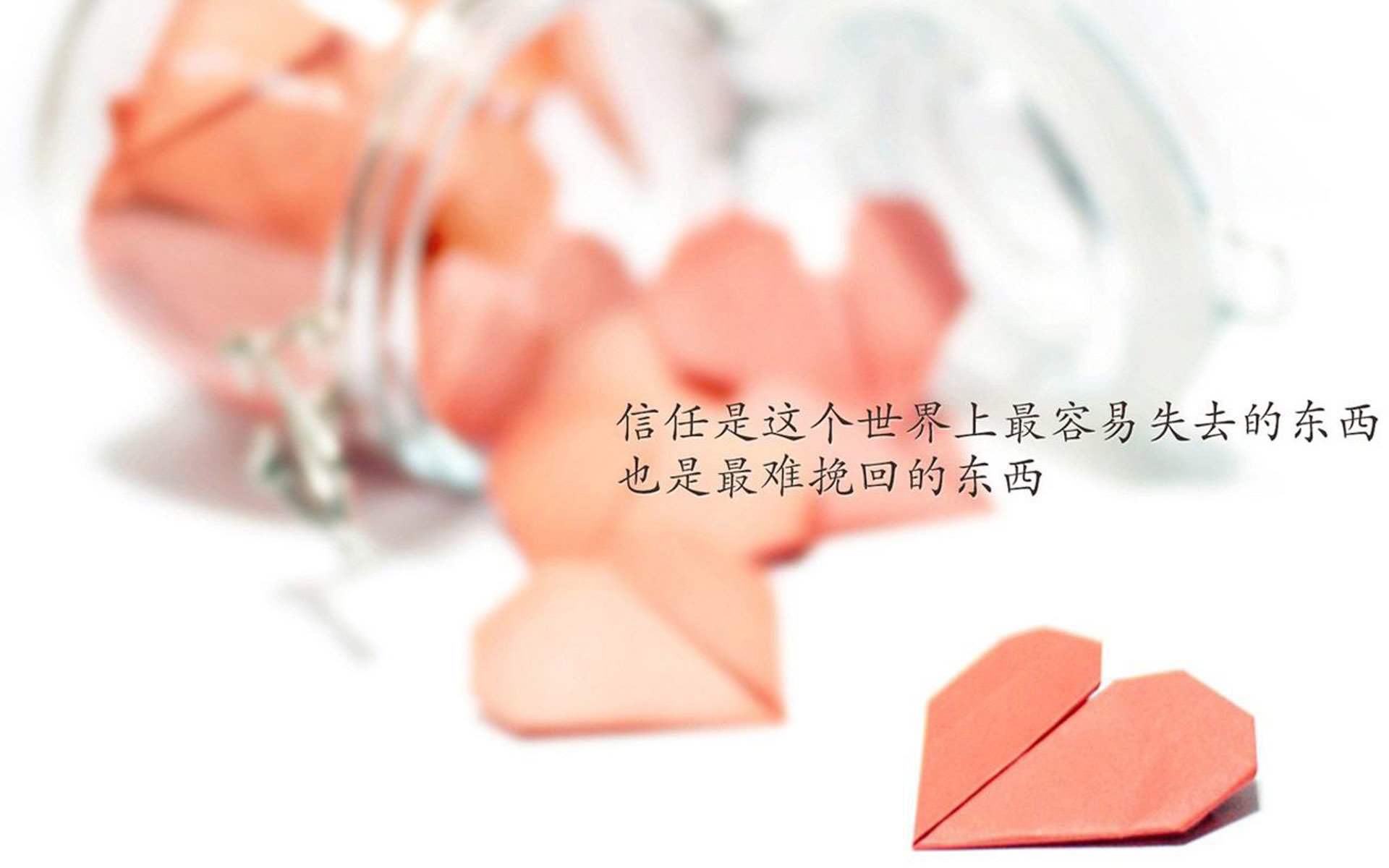 开云体育官网-狮吼震天！喀麦隆闪电复仇，奥斯梅恩绝杀印度，2026世界杯上演最荡气回肠的致命一击